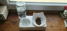 Pet-Supply Dish-Bowls Raised-Stand Pet-Cat-Bowl Water-Dispenser Drinking Automatic Dog