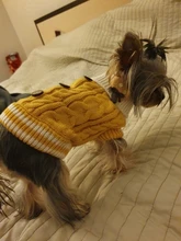 Sweater Puppy-Hoodie Dog-Jumper Winter Knited Small Cat with Cartoon-Design Warm Apparel