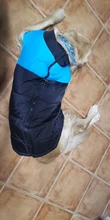 Dog-Jacket Puppy Dogs French Bulldog Waterproof Vest Hoodies Pet-Dog Small Winter Large