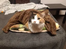 Pet Blanket ,Warm Bed Mat for Dogs and Cats,Soft and Fuzzy Fleece Cover,Washable Fluffy