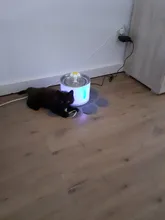 DRINK-FILTER Cat-Feeder Cat-Fountain Pet-Drinking-Water-Dispenser Cats Automatic LED
