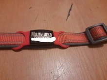 Pet-Id-Tags Collar-Accessory Cats Dogs Stainless-Steel Small Custom Personalized 