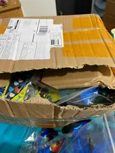 Bañadores de dibujos animados para bebés y niños, pantalones cortos de baño, medias, bañadores