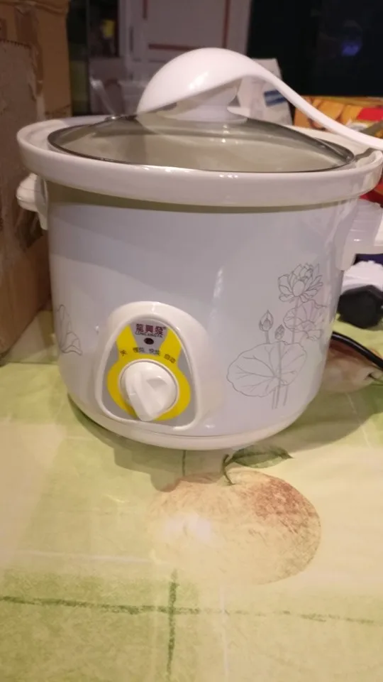 DMWD 1.5L Electric Mini Slow Cooker Stew Soup Porridge Health Pot Time  Control Ceramic Baby Food Cooking Machine Meal Steamer EU