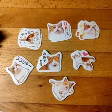 Lost a cat-mini pegatinas decorativas de papelería, conjunto de álbum diario de recortes, palo de etiqueta Kawaii, papelería