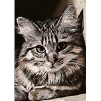 

AG 4674 set of d/making paintings with rhinestones 'барсик' 27*38 cm Granni