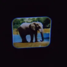 Balleenshiny-rompecabezas de interacción para padres e hijos, juguete luminoso para Educación Temprana, lámpara de proyector de Tobogán, Animal, dinosaurio