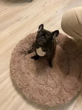 Cushion-Mat Beds Kennel Puppy-Supplies Sofa Cat-House Fluffy Warm DEKO Round Comfortable