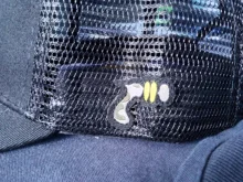 Nueva Marca 62 estilos Mickey y pato DONALD gorra de béisbol de las mujeres de los hombres de Hip Hop papá de malla camionero sombrero Dropshipping. Exclusivo.