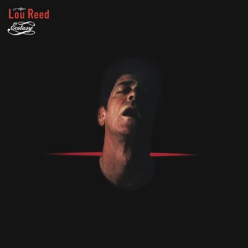 

Lou Reed/ecstasy (2LP)