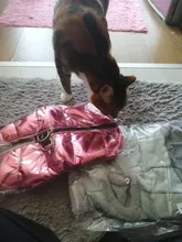 Jacket Pet-Coat French-Bulldog For Chihuahua Puppy-Vest Warm Dog Mascotas Winter Small