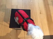 Vest Coat Jacket Harness Dog-Clothing French-Bulldog-Pet Dogs Small Waterproof Winter