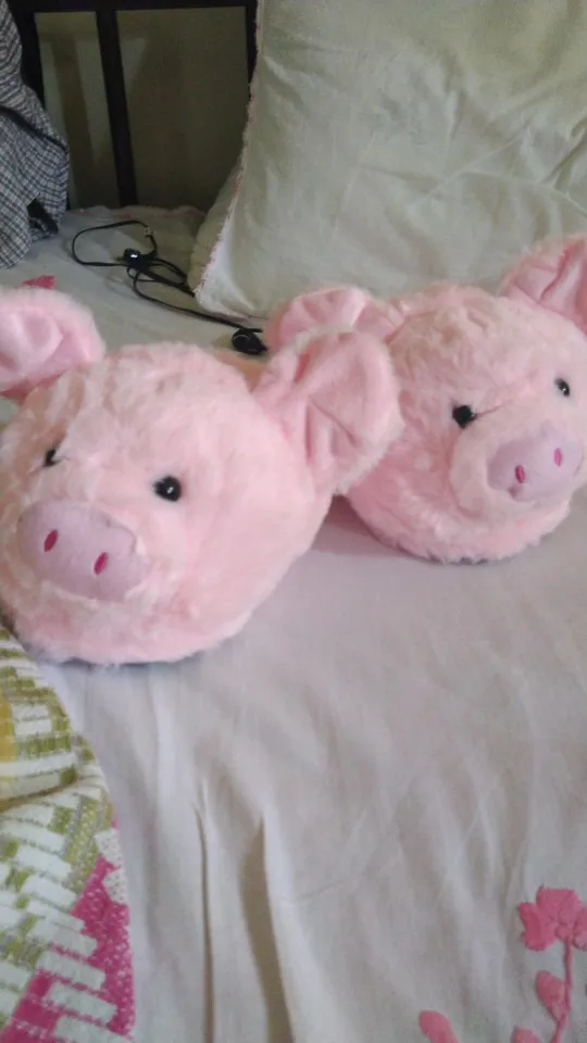 Cute Pink Pig Plush Indoor Warm Shoes & Pillow - MsHormony