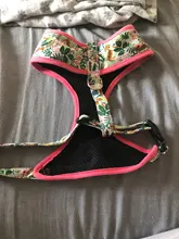 Cute Printed Chihuahua French Bulldog Harness Adjustable Puppy Cat Harness Pet Small