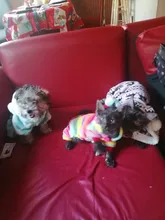 Pet Clothing Costume Outfit Pajamas Fleece Winter Apparel Small Warm 30 Four-Legs Jumpsuit