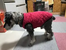 Dog Winter Bulldog-Coat Chihuahu Small French Outfit Puppy Medium Warm 