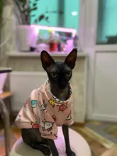 Cartoon Cat Hoodie Sweater Autumn Winter Pet Cat Clothes for Cats Katten Kedi Pullovers