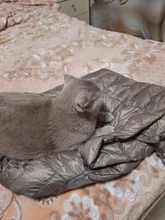 NewBang-Chaqueta de plumón largo con capucha para mujer, chaqueta ultraligera de invierno, abrigos de talla grande, 7XL, 8XL