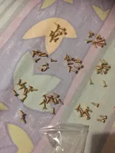 Tornillo de cabeza plana para carpintero, 100 Uds., 2x6mm, 2x7mm, 2x8mm, 2,5x8mm, 2,5x10mm, accesorios de hardware para mobiliario caja de madera