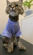 Cat Costumes Jacket Pet-Clothing Puppy-Outfit Kitty Winter Warm Autumn for Small Dogs