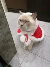 Pet Dog Cat Costume Christmas Antlers Hat Cloak Halloween Disguise Clothes For Cats Small