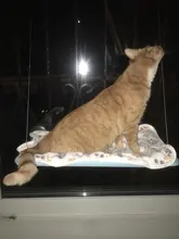 Pet Hammock Bearing Beds-Supplies Seat Hanging-Beds Detachable Pet-Shelf Window-Mount