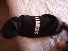 Cat Clothes Pet Cat Coats Jacket Hoodies For Cats Outfit Warm Pet Clothing Rabbit Animals