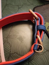 Dog-Collar Id-Plate Engraved Dogs Pitbull Custom Personalized Padded with Tag 2-Layers