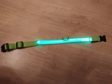 Collar con luces LED para perro, collar de luz recargable por USB, ideal para usar de noche al aire libre, accesorio de seguridad para mascota