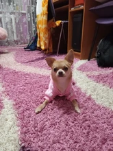 Costume Pet-Jumpsuit Puppy-Outfit Dogs French Bulldog Chihuahua Medium Pug-Pets Small