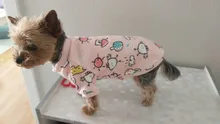Ropa para mascotas, abrigo estampado bonito para perros pequeños, gatos, Chihuahua, Shih, Tzu, Primavera