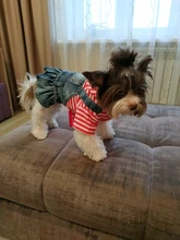 Coat Vest Jeans Puppy-Clothing Jacket Dog Pet-Dog Cowboy Denim XS-2XL for Small Dogs