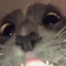 S***v
