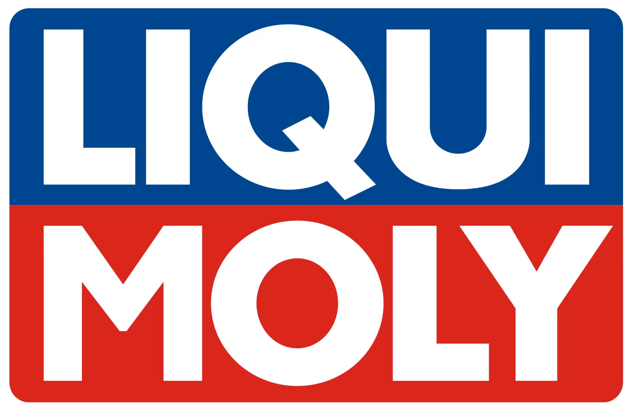 LIQUI MOLY Engine Flush 300 Ml. 2640 - AliExpress
