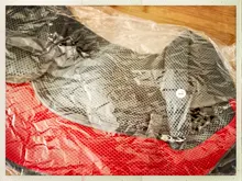 Mochila de policarbonato para perros y gatos, bolsa de hombro de viaje con malla frontal, portador de Animal PEQUEÑO, 1 unidad