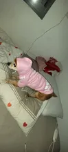 Adidog-ropa para perros pequeños, chaqueta con capucha deportiva de invierno, suéter de algodón suave abrigado puro, Chihuahua de peluche, ropa para cachorros