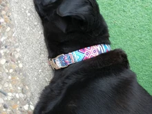 Dog-Collar Dogs Pitbull Adjustable Print Custom Personalized Nylon for Small Large Pet-Cat