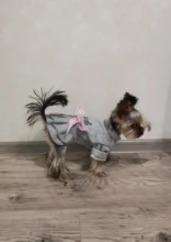 Coat Dress Teddy Poodle-Clothes Puppy Small-Pet Dog Winter Autumn with Letter Bowknot