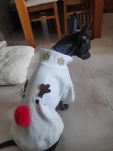 Costume Dog Shirt Dress Christmas Cat-Coat Couple for Small Cats Terrier Ropa Para Perro