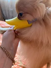 Bozal de silicona para perros, máscara bozal antimordida para perros pequeños y grandes, boquillas para la boca, accesorios de mascota perro