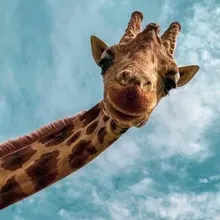 Stick Wallpaper Removable Decorative Wood-Panel Reclaimed-Wood Self-Adhesive Vintage