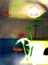 Rest-Bulb Heat-Lamp Reptile-Tortoise Tortuga Basking UVA Uvb-3.0 Temperature-Controller