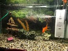 Bomba de filtro 4 en 1 para acuario, generador interno de oxígeno, de aire, de olas, sumergible para pecera