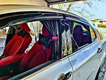 2 uds 50S anti-UV parasoles de ventana laterales coche cortina de ventana cortina Auto parabrisas trasero bloque de Sun para la mayoría de los coches SUV