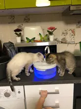 Fuente de Gato de 2L con luz azul, dispensador de agua automático alimentado por USB, alimentador de gatos, filtro de bebida para gatos y perros, proveedor de mascotas
