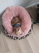 Cat Bed Bench Pet-Bed Chihuahua Kennel Dog-House Large-Mat Round Plush Long for Big Super-Soft