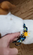 Collar de nailon personalizado para perros pequeños, medianos y grandes, con estampado colorido, correa para caminar