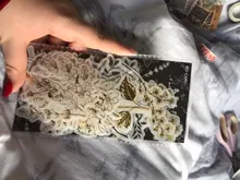 Diario Vintage decorativo, 60 hojas/paquete, diario dorado, Calaveras, flores, pegatinas de plantas, álbum de recortes, papelería de escamas