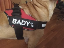 Sticker Harness Patch Label Name-Tag Custom K9 Personalized Pet-Dog 2pcs