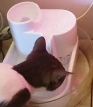 Mini bomba sumergible de agua de plástico, AC 220V Rate, impermeable